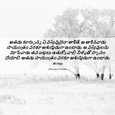 Picture 06 - లేవీకాండం 15:10 TELIRV - అతడు కూర్చున్న ఏ - Bible Verse Picture