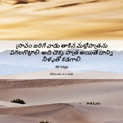 Picture 06 - లేవీకాండం 15:12 TELIRV - స్రావం జరిగే వాడు - Bible Verse Picture