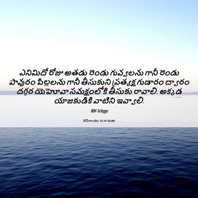 Picture 06 - లేవీకాండం 15:14 TELIRV - ఎనిమిదో రోజు అతడు - Bible Verse Picture