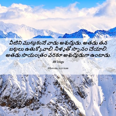 Picture 06 - లేవీకాండం 15:27 TELIRV - వీటిని ముట్టుకునే - Bible Verse Picture