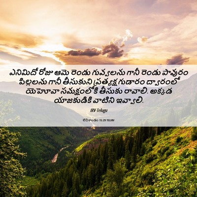 Picture 06 - లేవీకాండం 15:29 TELIRV - ఎనిమిదో రోజు ఆమె - Bible Verse Picture