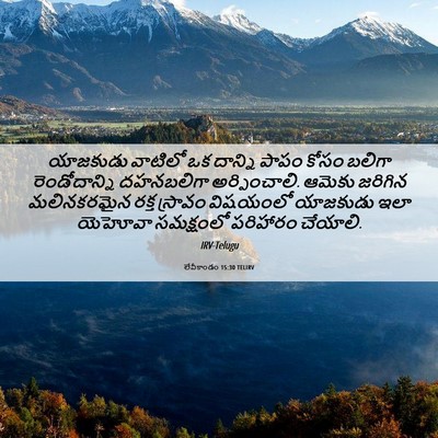 Picture 06 - లేవీకాండం 15:30 TELIRV - యాజకుడు వాటిలో ఒక - Bible Verse Picture