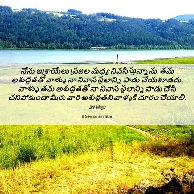 Picture 06 - లేవీకాండం 15:31 TELIRV - నేను ఇశ్రాయేలు - Bible Verse Picture