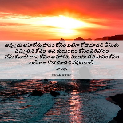 Picture 06 - లేవీకాండం 16:11 TELIRV - అప్పుడు అహరోను - Bible Verse Picture