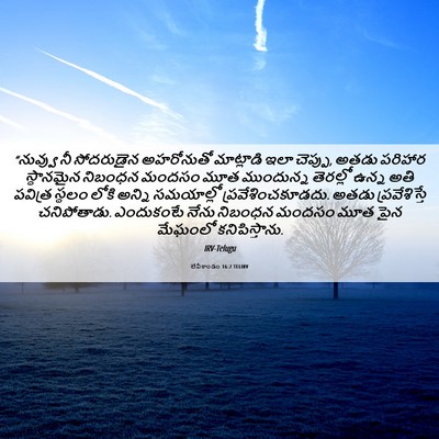 Picture 06 - లేవీకాండం 16:2 TELIRV - “నువ్వు నీ - Bible Verse Picture