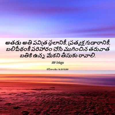 Picture 06 - లేవీకాండం 16:20 TELIRV - అతడు అతి పవిత్ర - Bible Verse Picture