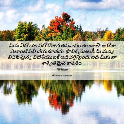 Picture 06 - లేవీకాండం 16:29 TELIRV - మీరు ఏడో నెల పదో - Bible Verse Picture