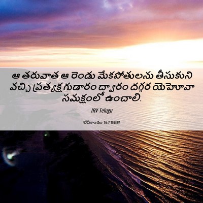 Picture 06 - లేవీకాండం 16:7 TELIRV - ఆ తరువాత ఆ రెండు - Bible Verse Picture
