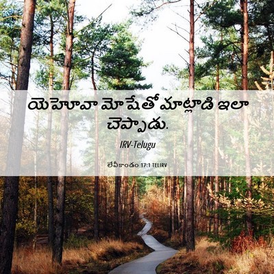 Picture 06 - లేవీకాండం 17:1 TELIRV - యెహోవా మోషేతో - Bible Verse Picture