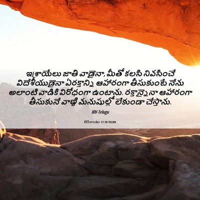 Picture 06 - లేవీకాండం 17:10 TELIRV - ఇశ్రాయేలు జాతి - Bible Verse Picture