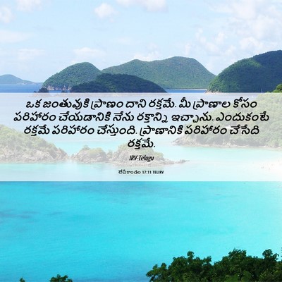 Picture 06 - లేవీకాండం 17:11 TELIRV - ఒక జంతువుకి - Bible Verse Picture