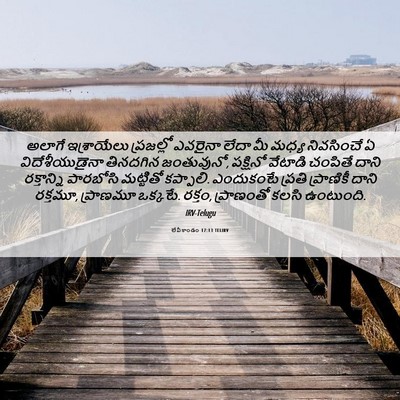 Picture 06 - లేవీకాండం 17:13 TELIRV - అలాగే ఇశ్రాయేలు - Bible Verse Picture