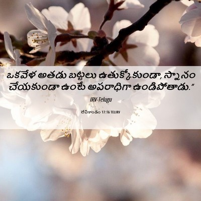 Picture 06 - లేవీకాండం 17:16 TELIRV - ఒకవేళ అతడు బట్టలు - Bible Verse Picture