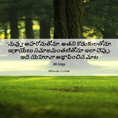 Picture 06 - లేవీకాండం 17:2 TELIRV - “నువ్వు - Bible Verse Picture