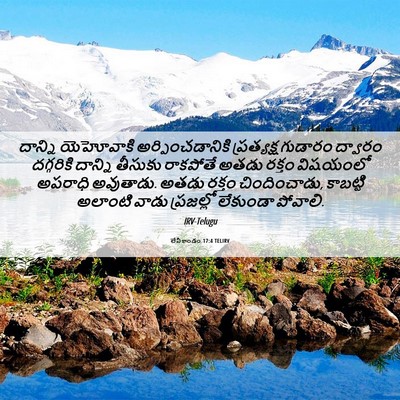 Picture 06 - లేవీకాండం 17:4 TELIRV - దాన్ని యెహోవాకి - Bible Verse Picture