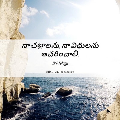 Picture 06 - లేవీకాండం 18:28 TELIRV - నా చట్టాలను, నా - Bible Verse Picture