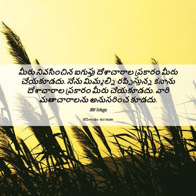 Picture 06 - లేవీకాండం 18:3 TELIRV - మీరు నివసించిన - Bible Verse Picture