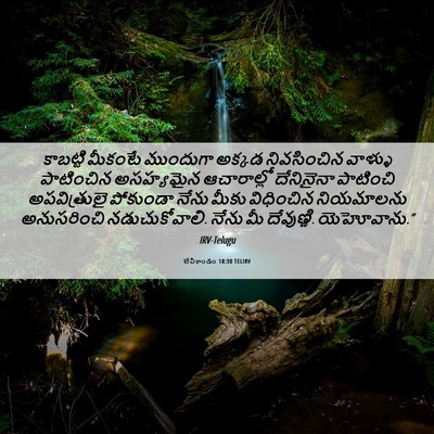 Picture 06 - లేవీకాండం 18:30 TELIRV - కాబట్టి మీకంటే - Bible Verse Picture