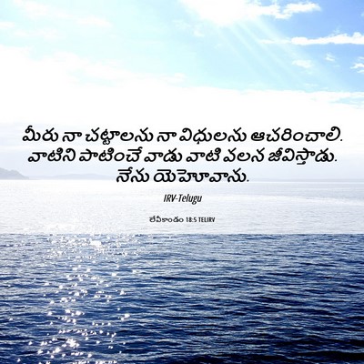 Picture 06 - లేవీకాండం 18:5 TELIRV - మీరు నా చట్టాలను - Bible Verse Picture