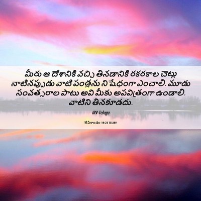 Picture 06 - లేవీకాండం 19:23 TELIRV - మీరు ఆ దేశానికి - Bible Verse Picture