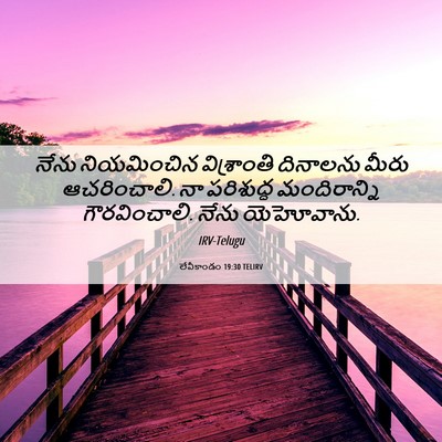 Picture 06 - లేవీకాండం 19:30 TELIRV - నేను నియమించిన - Bible Verse Picture