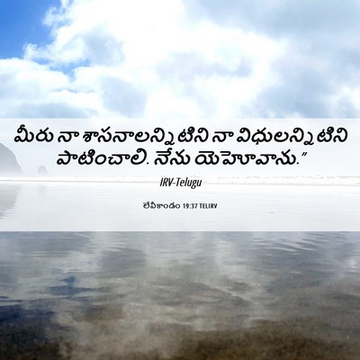 Picture 06 - లేవీకాండం 19:37 TELIRV - మీరు నా - Bible Verse Picture