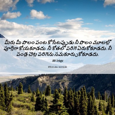 Picture 06 - లేవీకాండం 19:9 TELIRV - మీరు మీ పొలం పంట - Bible Verse Picture