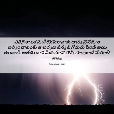 Picture 06 - లేవీకాండం 2:1 TELIRV - ఎవరైనా ఒక వ్యక్తి - Bible Verse Picture