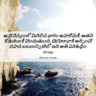 Picture 06 - లేవీకాండం 2:10 TELIRV - ఆ నైవేద్యంలో - Bible Verse Picture