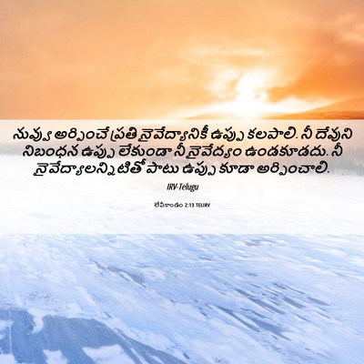 Picture 06 - లేవీకాండం 2:13 TELIRV - నువ్వు అర్పించే - Bible Verse Picture