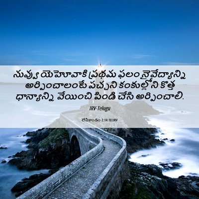 Picture 06 - లేవీకాండం 2:14 TELIRV - నువ్వు యెహోవాకి - Bible Verse Picture