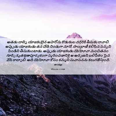 Picture 06 - లేవీకాండం 2:2 TELIRV - అతడు దాన్ని - Bible Verse Picture