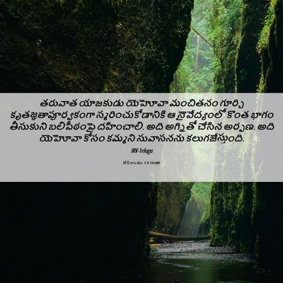 Picture 06 - లేవీకాండం 2:9 TELIRV - తరువాత యాజకుడు - Bible Verse Picture