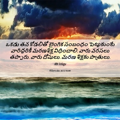 Picture 06 - లేవీకాండం 20:12 TELIRV - ఒకడు తన కోడలితో - Bible Verse Picture