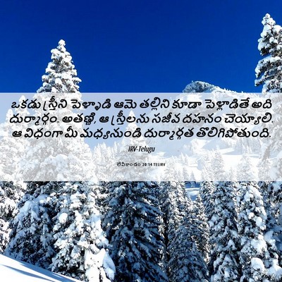 Picture 06 - లేవీకాండం 20:14 TELIRV - ఒకడు స్త్రీని - Bible Verse Picture