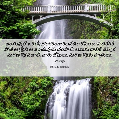 Picture 06 - లేవీకాండం 20:16 TELIRV - జంతువుతో ఒక - Bible Verse Picture