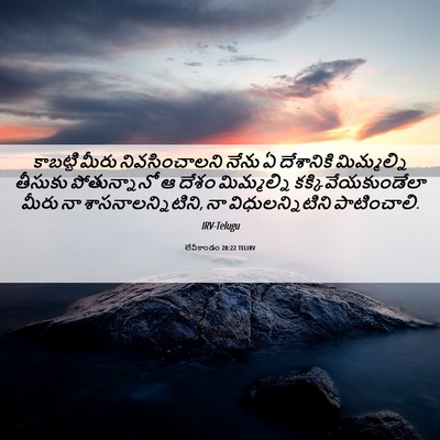 Picture 06 - లేవీకాండం 20:22 TELIRV - కాబట్టి మీరు - Bible Verse Picture