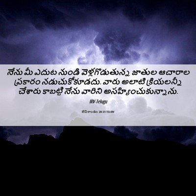 Picture 06 - లేవీకాండం 20:23 TELIRV - నేను మీ ఎదుట నుండి - Bible Verse Picture