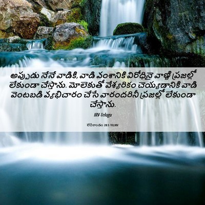 Picture 06 - లేవీకాండం 20:5 TELIRV - అప్పుడు నేనే - Bible Verse Picture