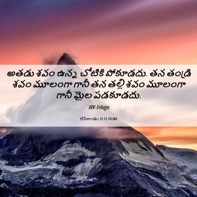 Picture 06 - లేవీకాండం 21:11 TELIRV - అతడు శవం ఉన్న - Bible Verse Picture