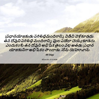 Picture 06 - లేవీకాండం 21:12 TELIRV - ప్రధానయాజకుడు - Bible Verse Picture