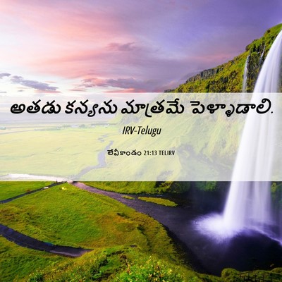 Picture 06 - లేవీకాండం 21:13 TELIRV - అతడు కన్యను - Bible Verse Picture