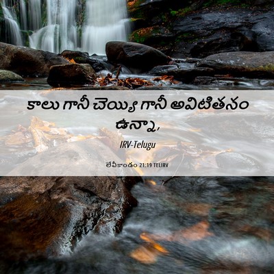Picture 06 - లేవీకాండం 21:19 TELIRV - కాలు గానీ చెయ్యి - Bible Verse Picture