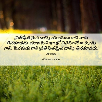 Picture 06 - లేవీకాండం 22:10 TELIRV - ప్రతిష్ఠితమైన - Bible Verse Picture