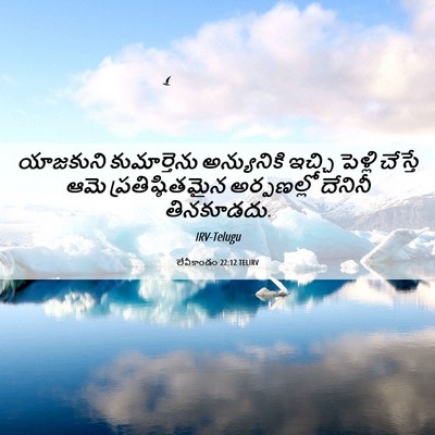 Picture 06 - లేవీకాండం 22:12 TELIRV - యాజకుని - Bible Verse Picture