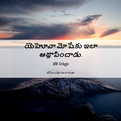 Picture 06 - లేవీకాండం 22:17 TELIRV - యెహోవా మోషేకు ఇలా - Bible Verse Picture