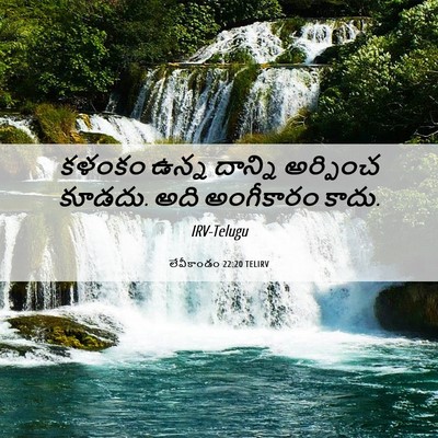 Picture 06 - లేవీకాండం 22:20 TELIRV - కళంకం ఉన్న దాన్ని - Bible Verse Picture