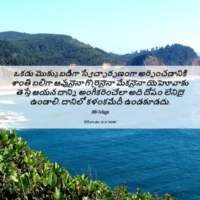 Picture 06 - లేవీకాండం 22:21 TELIRV - ఒకడు మొక్కుబడిగా - Bible Verse Picture