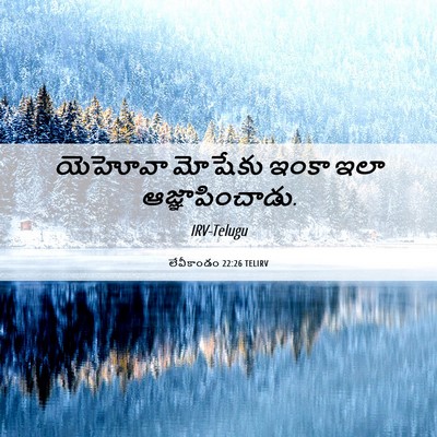 Picture 06 - లేవీకాండం 22:26 TELIRV - యెహోవా మోషేకు - Bible Verse Picture
