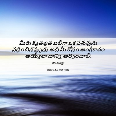 Picture 06 - లేవీకాండం 22:29 TELIRV - మీరు కృతజ్ఞత - Bible Verse Picture